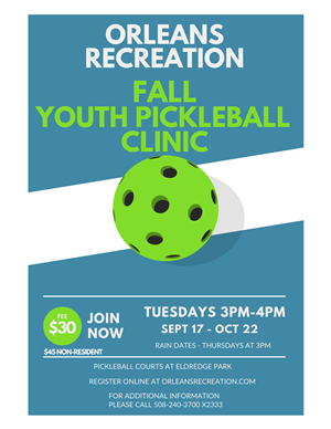 Youth Pickleball Clinic- Fall 2024