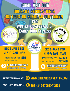 Winter Pickleball