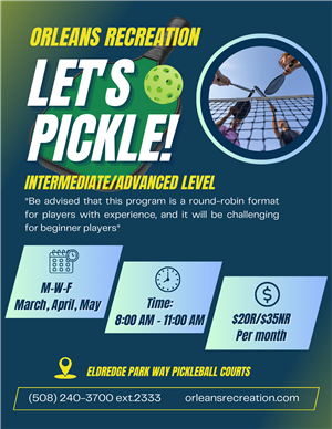 2026 Adult Pickleball