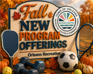 2026 New Programs