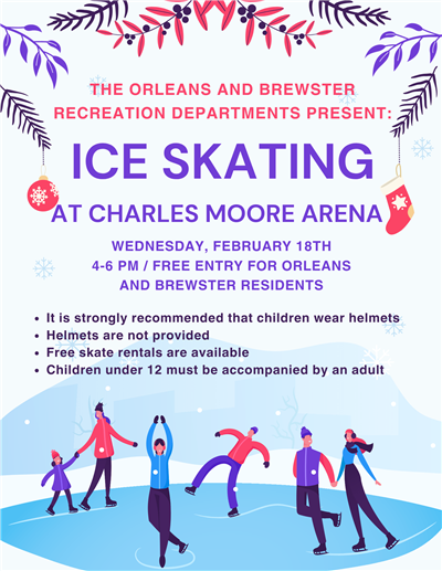 February Ice Skating